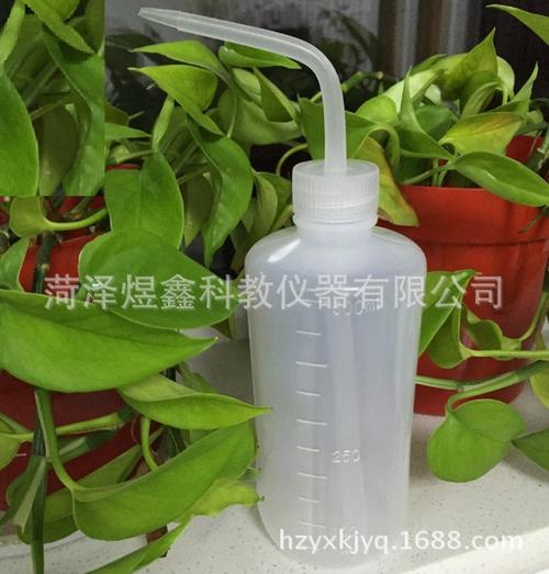教学仪器厂家  塑料洗瓶 洗瓶 冲洗壶 实验室器材